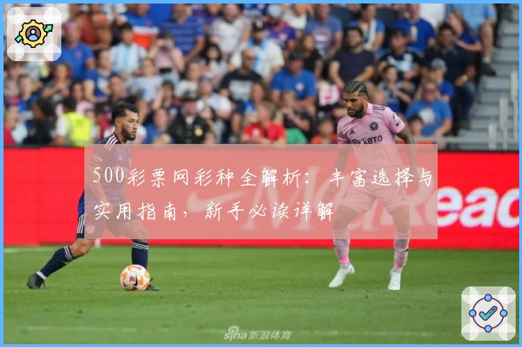 500彩票网彩种全解析：丰富选择与实用指南，新手必读详解