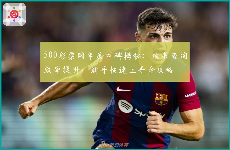 500彩票网年度口碑揭秘：结果查询效率提升，新手快速上手全攻略