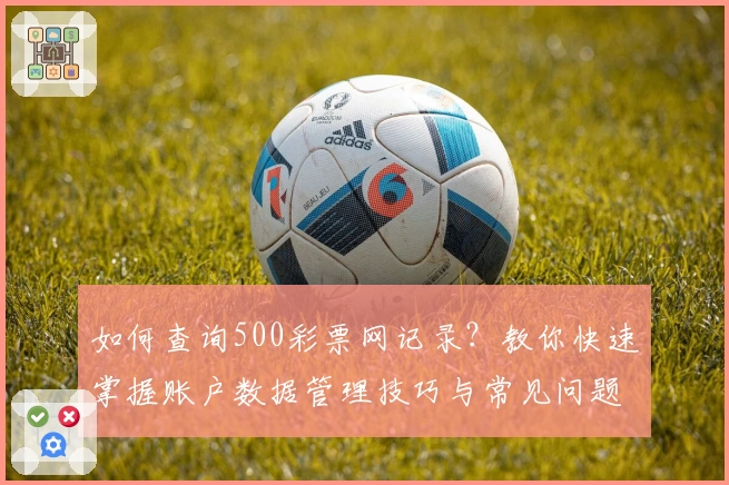 如何查询500彩票网记录？教你快速掌握账户数据管理技巧与常见问题解答