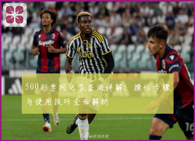 500彩票网记录查询详解：操作步骤与使用技巧全面解析