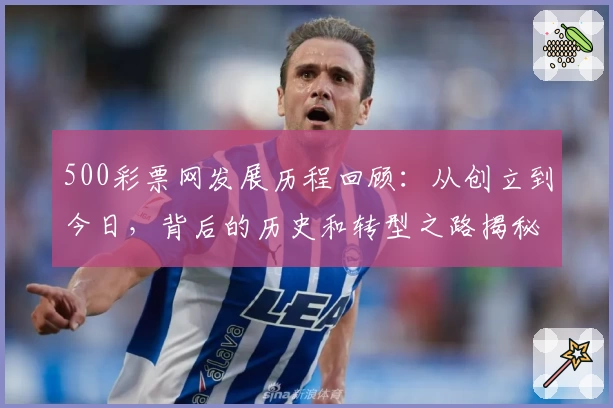 500彩票网发展历程回顾：从创立到今日，背后的历史和转型之路揭秘
