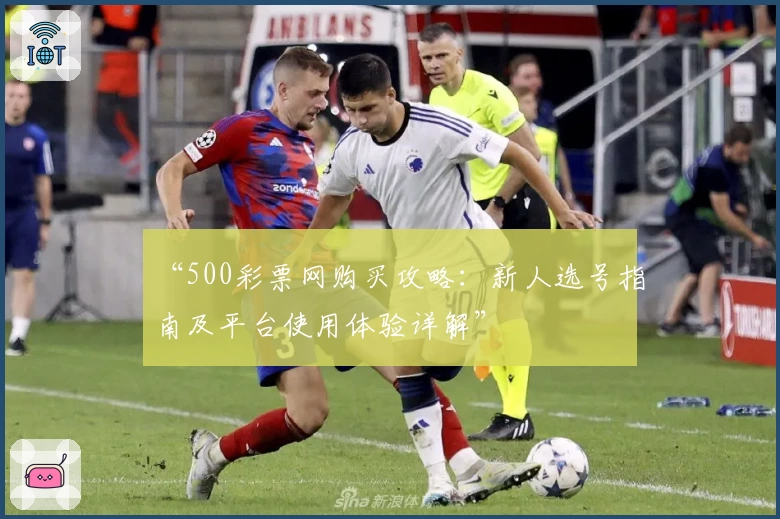 “500彩票网购买攻略：新人选号指南及平台使用体验详解”